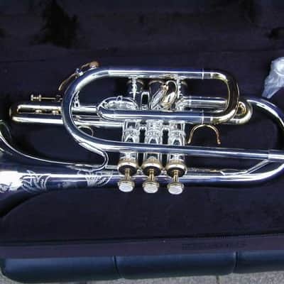 Berkeleywind Bb Silver Cornet image 7