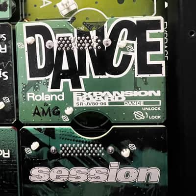 Roland SR-JV80-06 Dance Expansion Board 1990s - Green