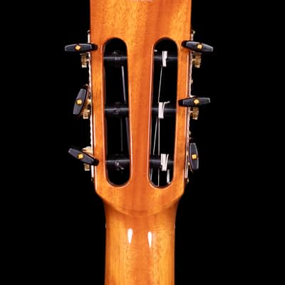 Cordoba Fusion Stage Guitar, Natural Amber with Bag image 10
