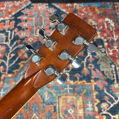 Morris D41 Style X-Braced Dreadnought Model W50 Jacaranda MIJ - 1970's image 23