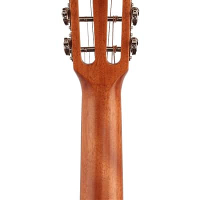 Alvarez AP66ESHB Parlor Acoustic Electric Guitar Mahogany Shadowburst image 7