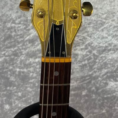 Washburn Raven electric guitar / flaming eagle refinish + Tweed case image 4
