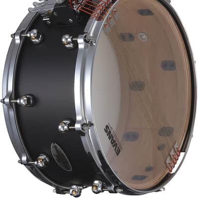 Pearl Snare Drum Dennis Chambers Maple 14"x6.5" (DC1465S/C119) image 3