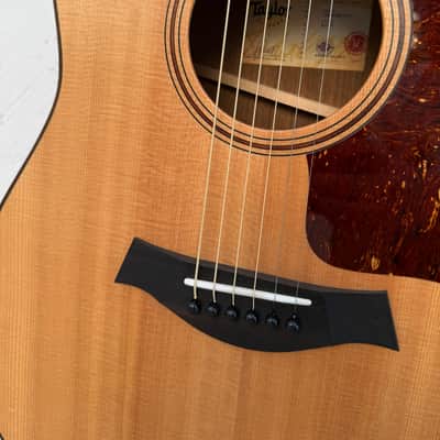 Taylor AD17 2021 - Matte image 10