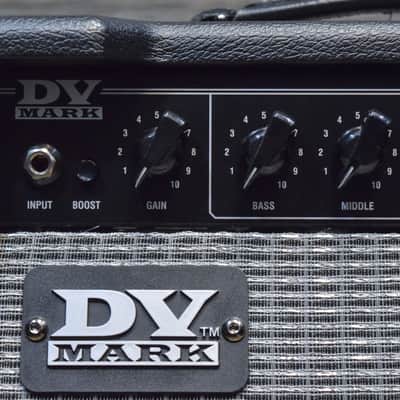 DV Mark DV Gen 15 Silver Generation 15-Watt Tube Guitar Amplifier Head #J9000074 image 5