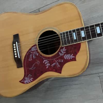 Aria Hummingbird 1979 - Natural Japan Lawsuit Low Action Hard Case image 10