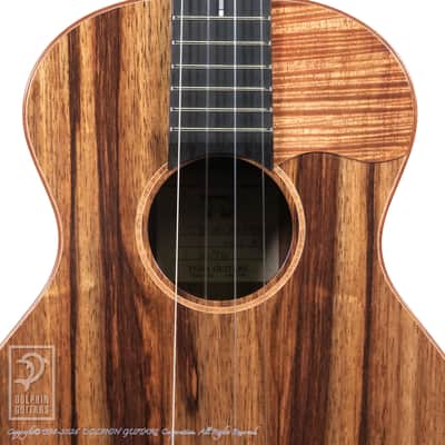 TODA GUITARS <MIJ>VB ALL Wild Mango 2026 image 11