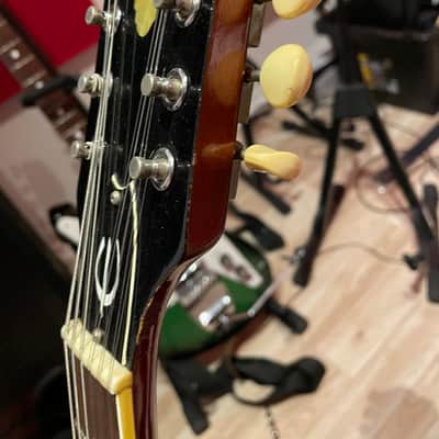 Epiphone Riviera 12-String ES360TD-12 1965 image 10