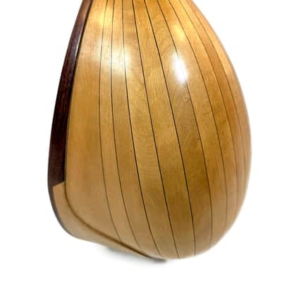 Mandoline Raffaele Calace N°2 de 1910 image 9