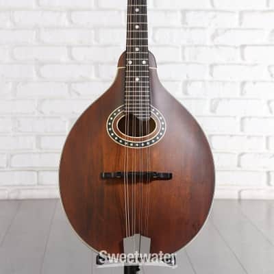 Eastman Guitars MD304 A-style Mandolin - Classic (MD304Csd1) image 1