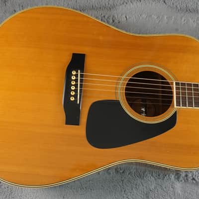 Morris MD-505 Japan Acoustic Guitar image 6