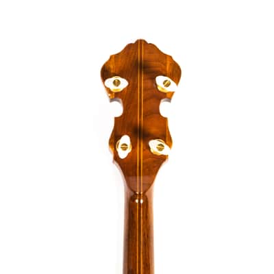 ODE Banjo Owned by Brian Setzer image 6