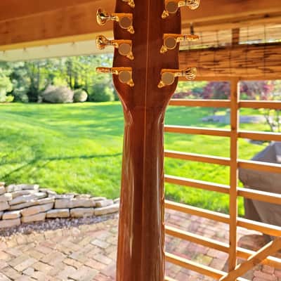 Bischoff Acoustic Guitar 9-String (not 12-String) Custom Artist Series Luthier Hand-Crafted 2013 Sunburst Adirondack Madagascar RW Excellent! image 7