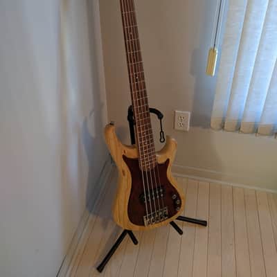 TBC The Bass Company 5 string bass 2000s image 1