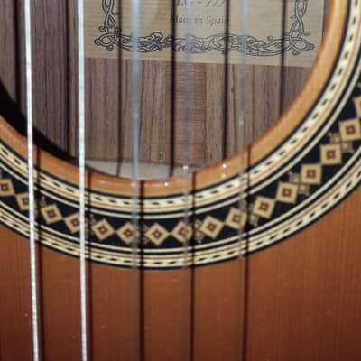 Lucida Artista LG-777 2001 Natural Gloss image 7