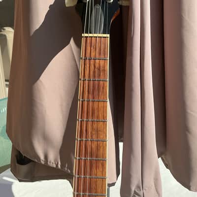 DGN Custom Guitars Paragon #42 image 6