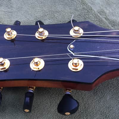 Walsh electric 2018 Amber Burst image 4