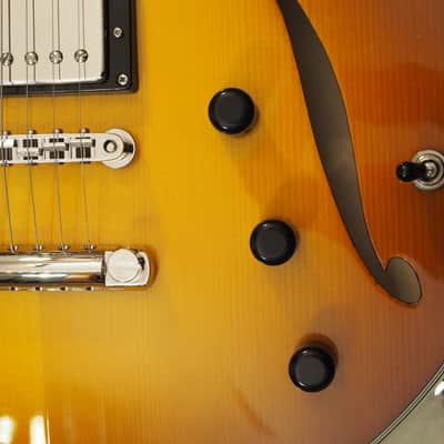 Eastman Romeo 2021 Goldburst image 12