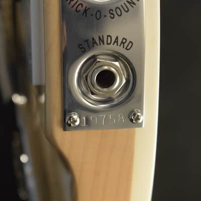 Rickenbacker 360/12 12-String Mapleglo image 10
