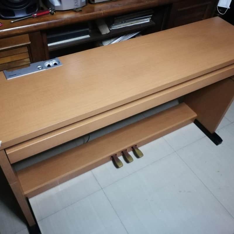 2005 Panasonic Panasonic SX-NP10 Beige