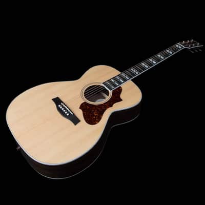 Godin Fairmount CH LTD Rosewood HG EQ, LR Baggs Electronics, Gig Bag Included image 13