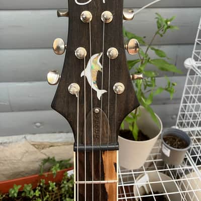 Cidre Arroaz II Guitar PRS Style 2024 Custom Made in Spain -  Flamed Maple Fireburst & Black Back image 5