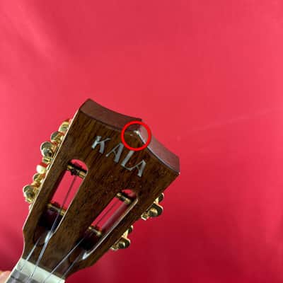 [USED] Kala KA-SKCGE-C Hawaiian Koa Spruce Top Concert Ukulele Cutaway w/ EQ, Natural Gloss (See Description) image 6