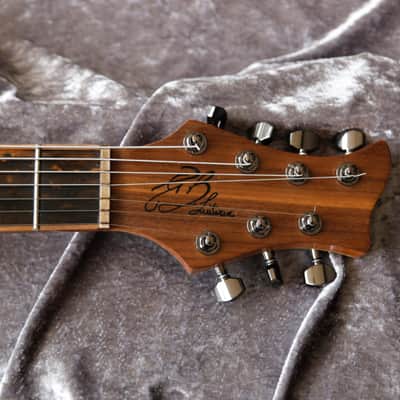 Build to Order GB Liuteria Boutique Plié 7 string toad edition image 18