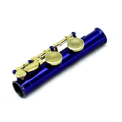 Closed Hole Blue Flute/Gold Keys/Hard & Soft Cases image 2