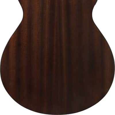 Ibanez AEWC16QA-TLH Akustikgitarre 6-String - Transparent Blue image 3