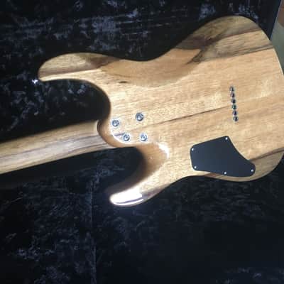 Suhr Modern 2015 Algae image 6
