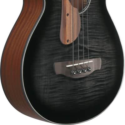 Ibanez AEGB25E-TKH image 3