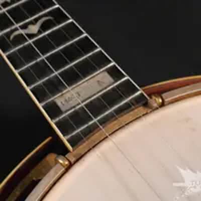 Gibson RB 250 Banjo GOLD PLATTED RB250 1970s - GOLD PLATTED image 19
