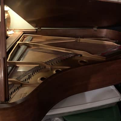 Baldwin L. Circa (Grand) 70's - Walnut image 3
