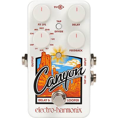 Electro-Harmonix Canyon Delay and Looper Pedal image 1