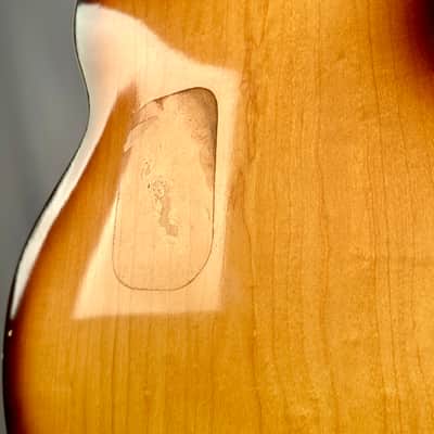 Gretsch Double Anniversary 1967 - Sunburst image 22