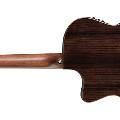 Washburn G20SCE | Comfort Series Cutaway Grand Auditorium w/ Fishman.  New with Full Warranty! image 8