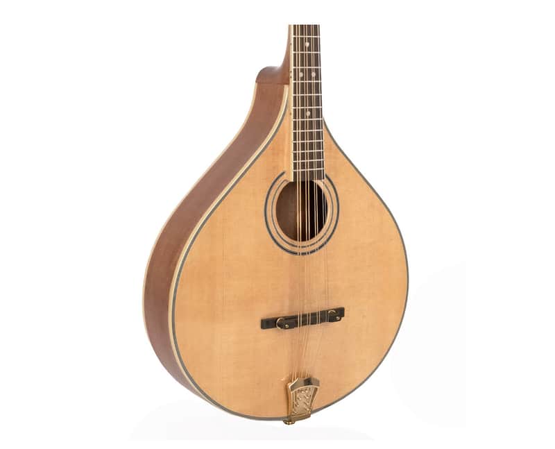 Gold Tone OM-800+ Octave Mandolin - Open Box image 1