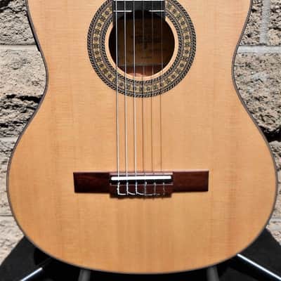 Tagima Classical Electric Guitar One CSS Satin image 1