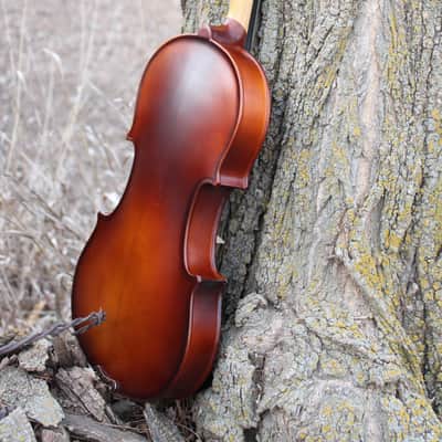 John Juzek 85 Violin Outfit with Case and Bow 4/4 size - Shaded Amber/Tobacco Brown Matte image 23