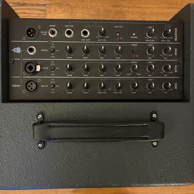 Schertler "Unico" Acoustic Guitar Amplifier w. Volume Pedal and Free Shipping image 3