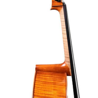 Professional song maestro Stradivari Model Cello 4/4 Made in Europe + Case image 12