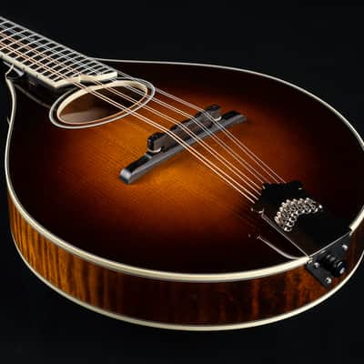 Collings MT2 O Adirondack Spruce and Flamed Maple 1-Piece Back Sunburst Mandolin NEW image 14