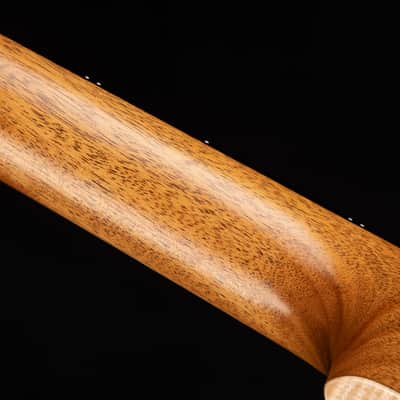Goodall Parlor 14 Fret - Adirondack Spruce & Beeswing Mahogany image 9