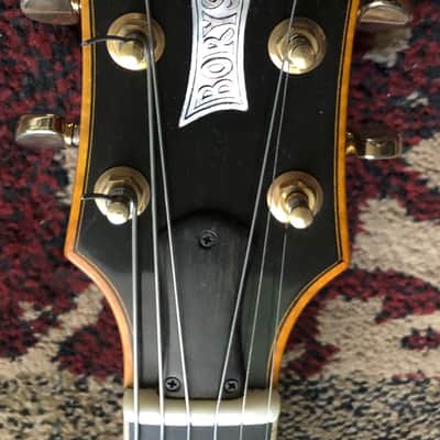 Roger Borys B-120 Deluxe 2012 Honeyburst image 5