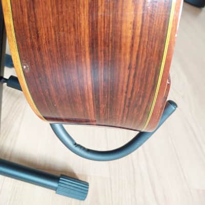 Suzuki MC-836 Mandocello / Mandoloncello | Reverb