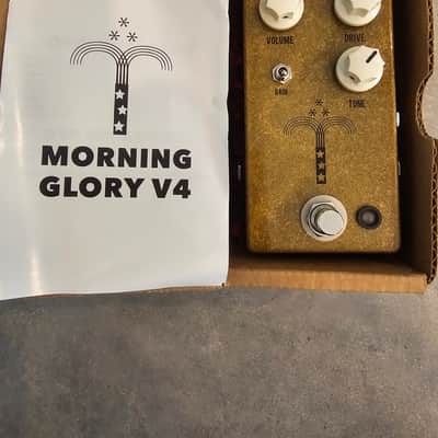 JHS Morning Glory V4 2016 - Present - Gold image 8