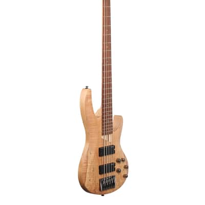 ESP LTD B205SM 5-String Electric Bass Guitar Natural Satin image 8
