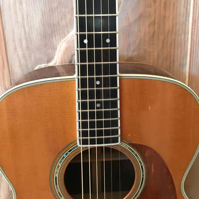 Martin M38 1979 image 5