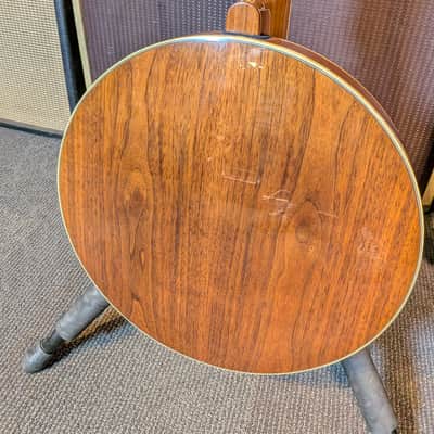 Fender FB-59 5-String Electric/Acoustic Resonator Banjo w/Case (2007) image 3